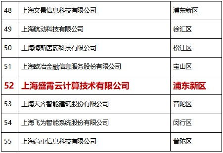 巔峰引領，再獲殊榮 比格云榮登2020上海軟件和信息技術服務業高成長百家榜單